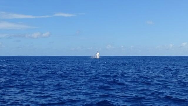 DSC06618