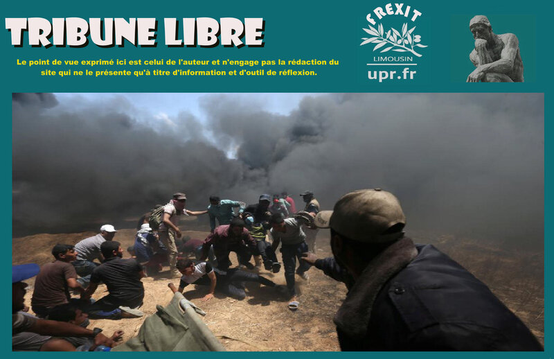 TL GAZA PRESSE
