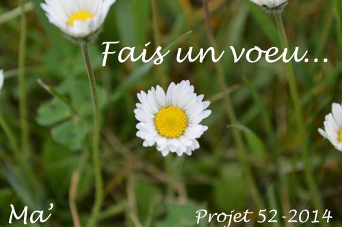 52-2014_S14_fais_un_voeu