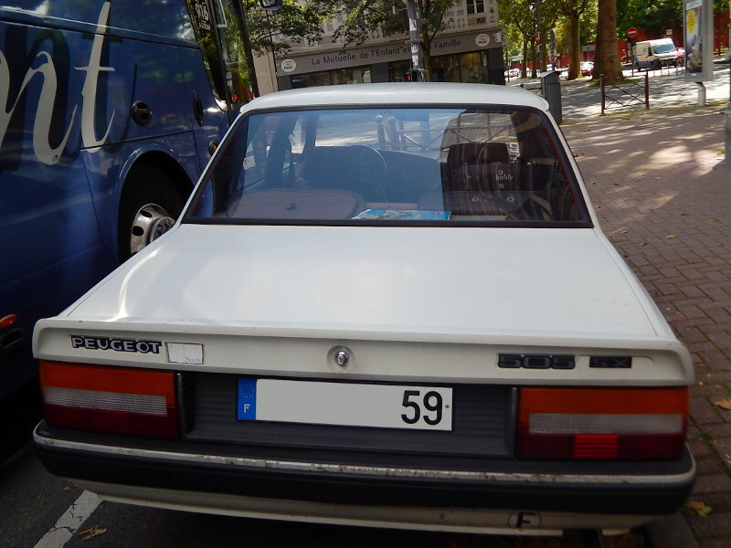 Peugeot505SXar