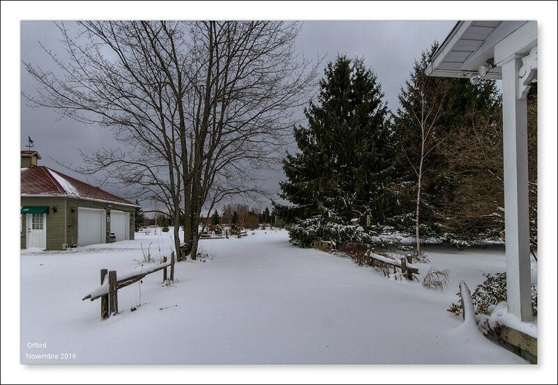 IMG_2194-1-2