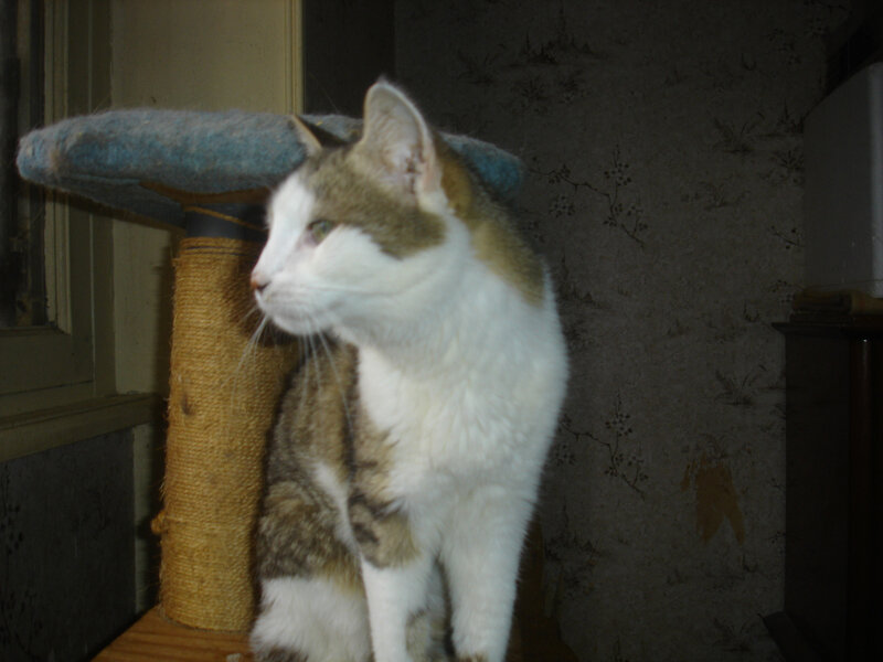 DSC05679
