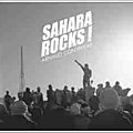Une traversée du <b>Sahara</b> (3)