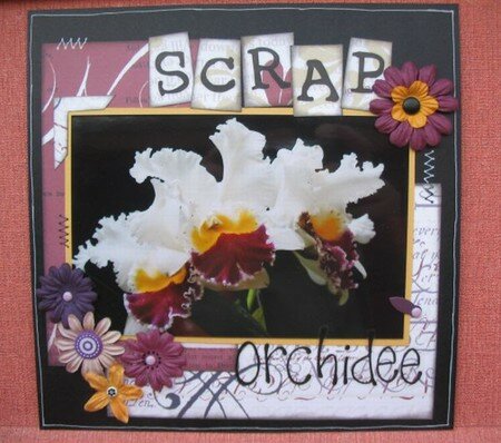 Scrap_orchid_e3