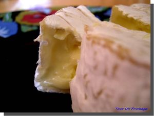 Camembert