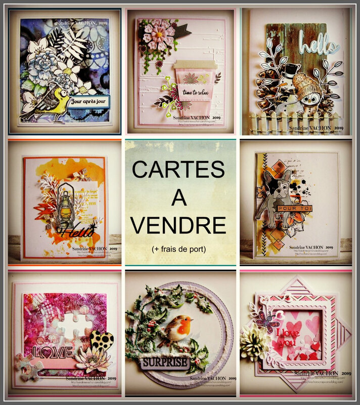 ALBUM CARTES A VENDRE