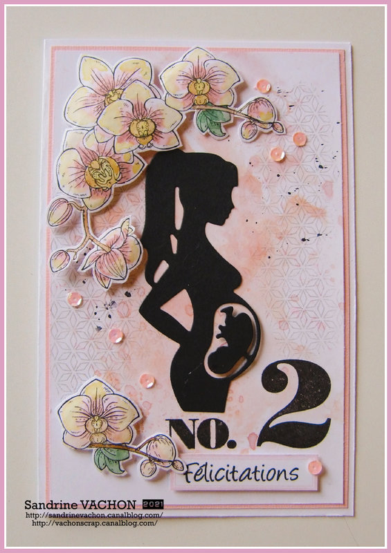 Carte félicitations naissance baby chou 2 (1)