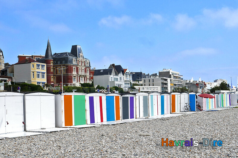 Plage 12-06-2018 ALG
