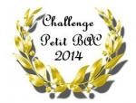 0 Challenge Petit bac 2014