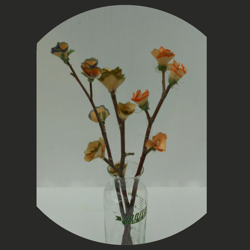Sc fleur fev 2020 4