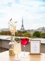 Bonsoir Paris Rooftop Bar_©Emilie Franzo_@Plus-une-miette (4)