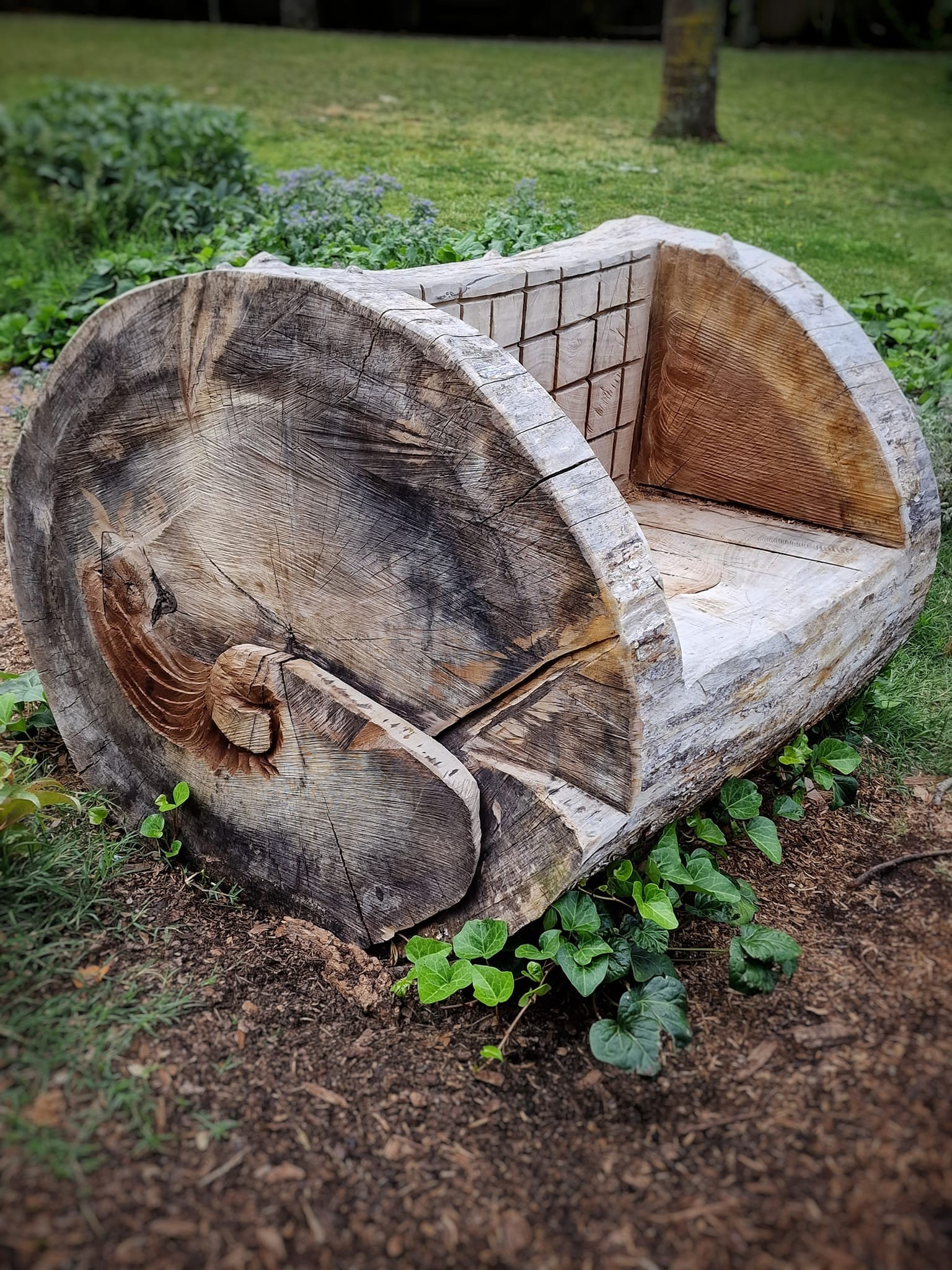 Banc taillé dans un tronc de tulipier