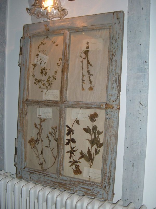 un vieil herbier