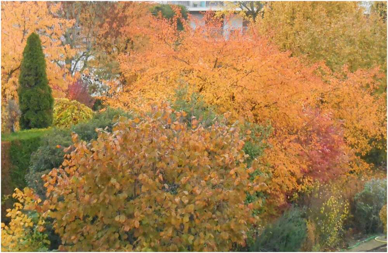 automne1