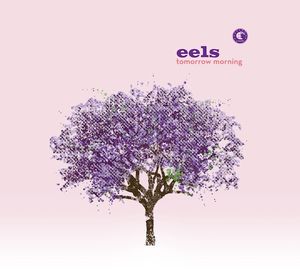 eels_tomorrow_morning