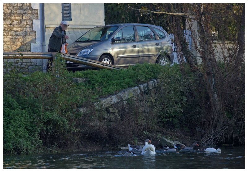 ville oiseaux pain 2 031213 homme