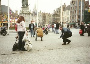 Bruges, uen scène 2