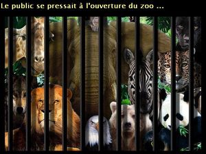 thebeelamouche_zoo