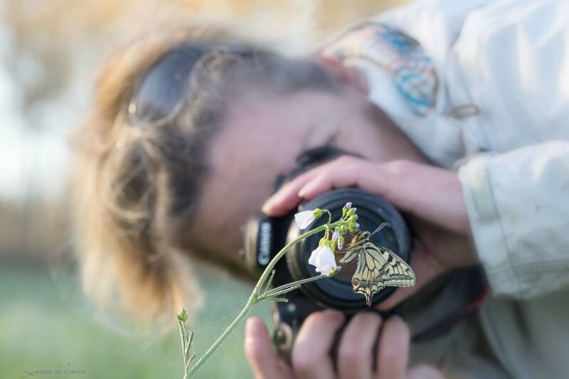 w2_Coco et le machaon_20170329_6883