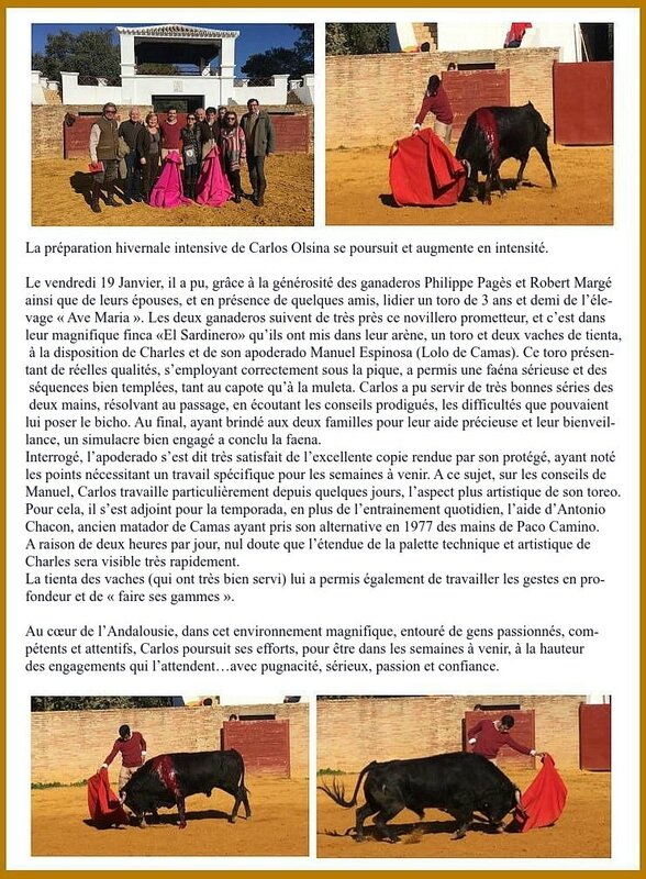 article toro el sardinero 190118