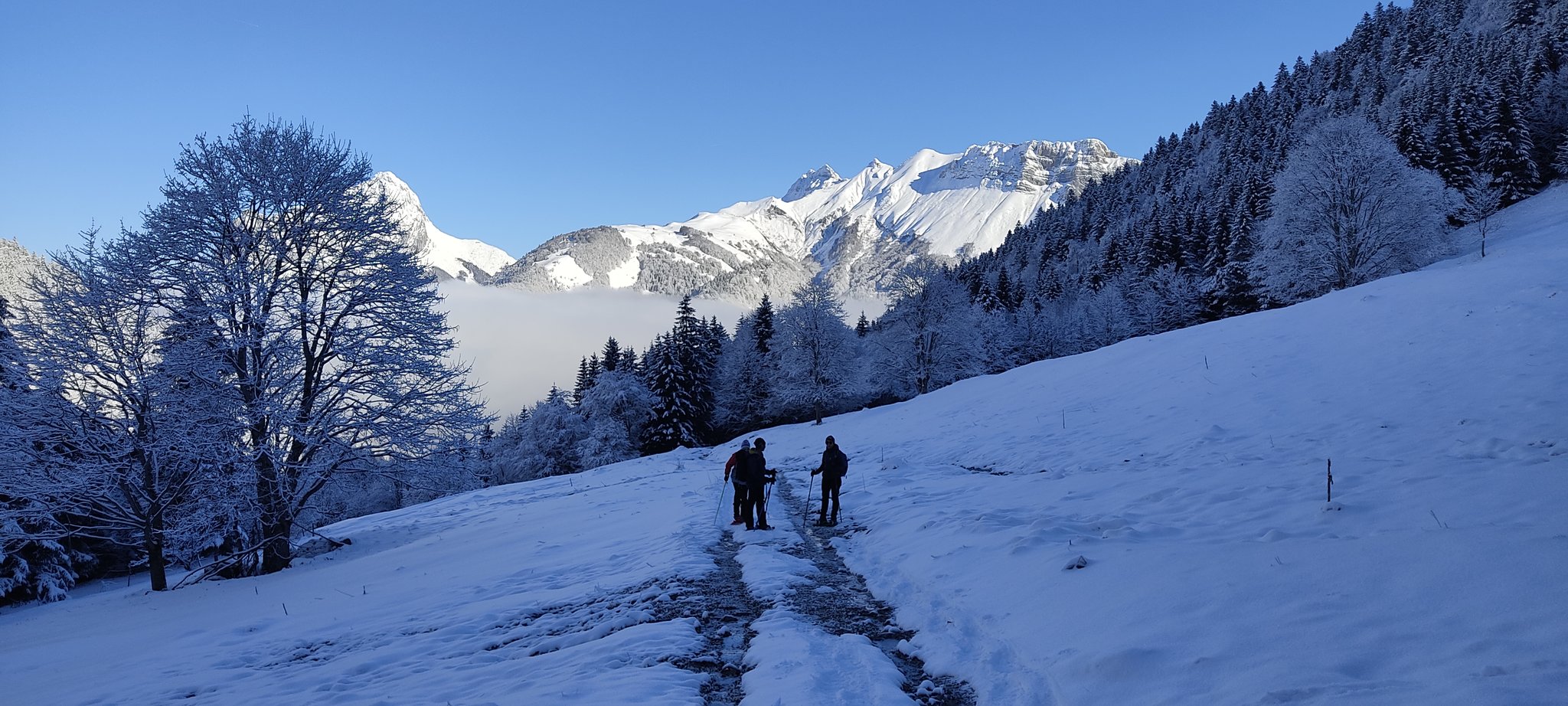 Col d'Arclusaz 20/01 Section Montagne ASPTT Annecy