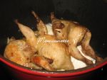 Cailles_sur_nid_de_soja___la_sauce_ch_vre_et_champi_farci_015