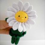 Marguerite-Anisbee