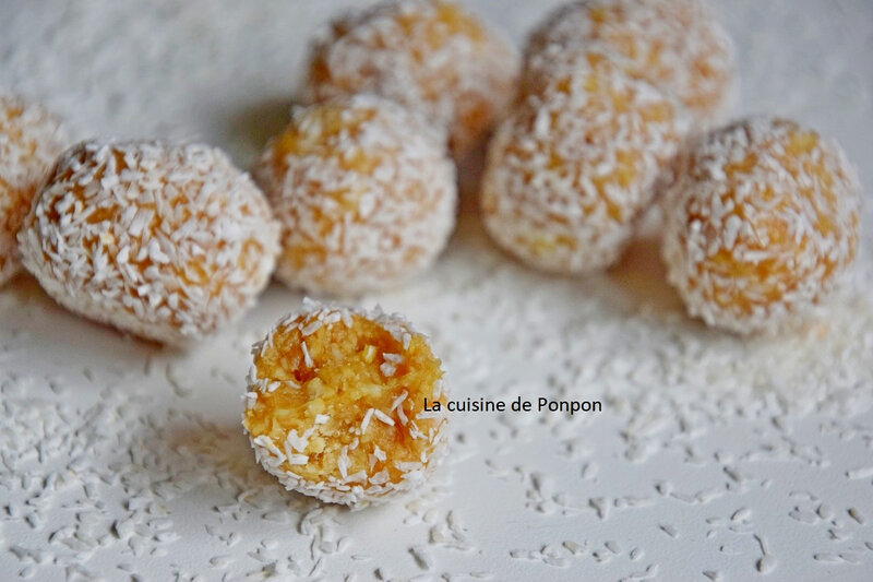 boules cajou et raffolé vegan (16)