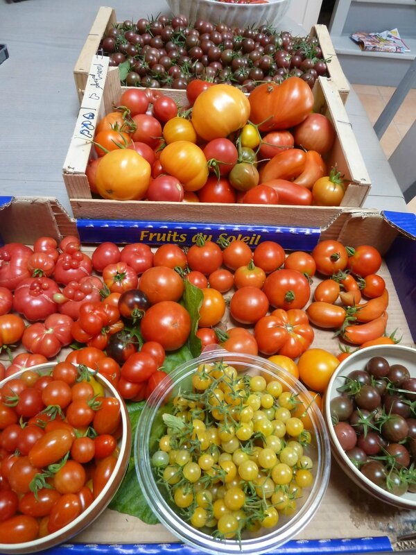 9-tomates du jour (1)