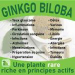 ginkgo-biloba-baomix-laboratoire-biologiquement-phytotherapie-traitement-therapeutique-plantes-medicinales