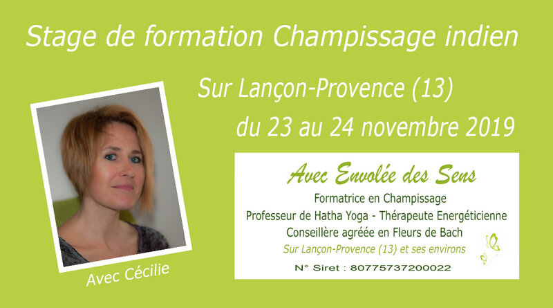 CouvertureEvenementFacebookFormationChampissage9x5Ps20191123