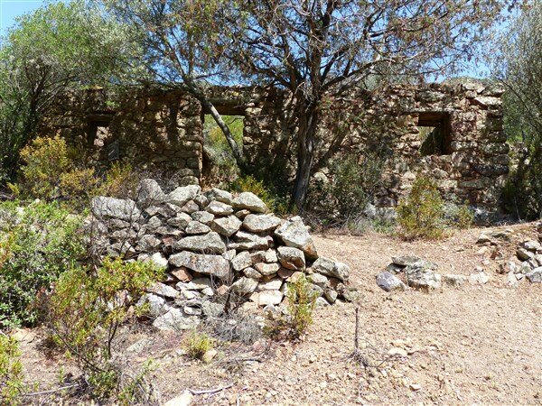 P1170150