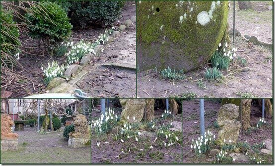 jardin 15 février 2015