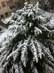 photo_4_