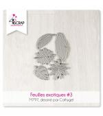 M797-feuilles-exotiques-3-matrice-de-coupe-scrapbooking-carterie