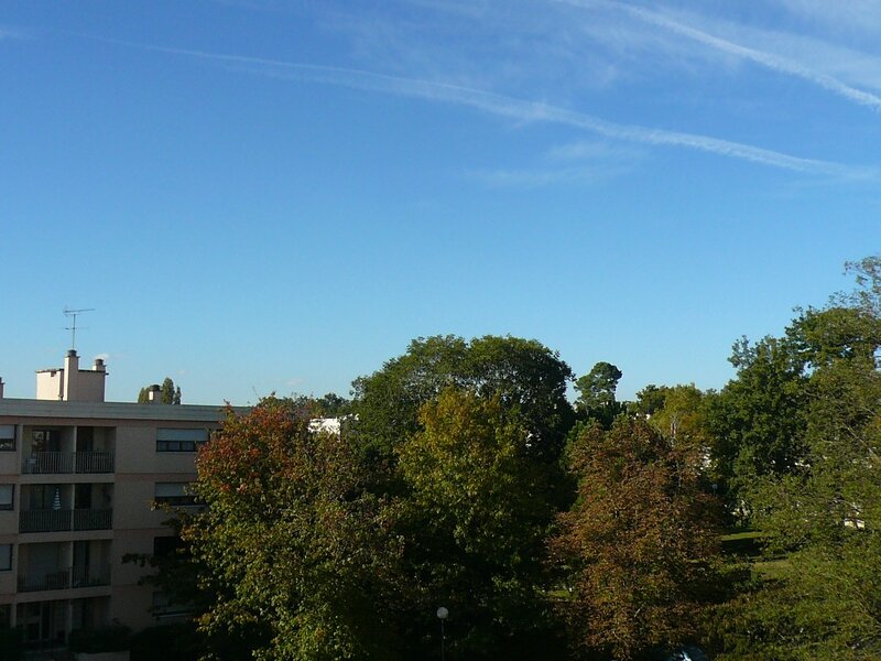 P1130984