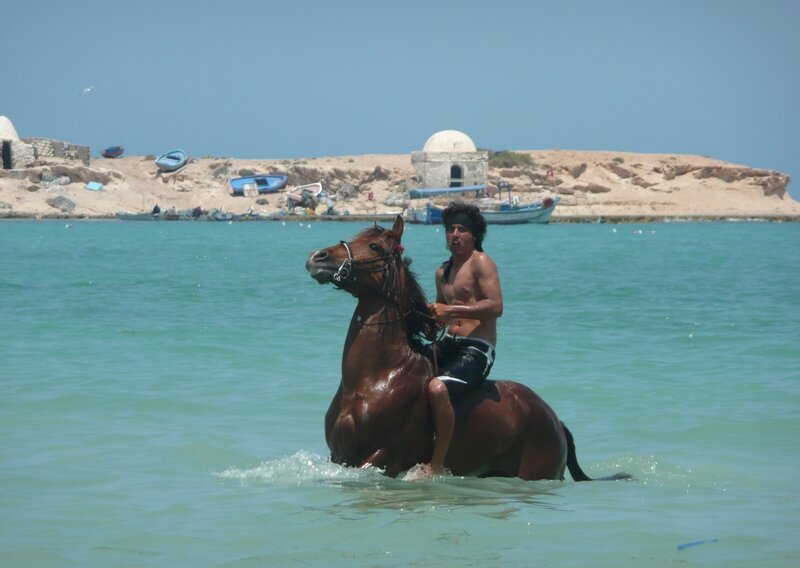 Zarziss au sud de Djerba