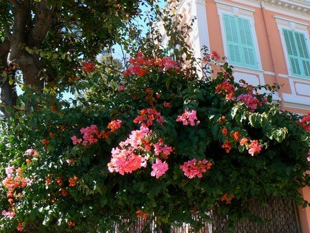 Menton_088