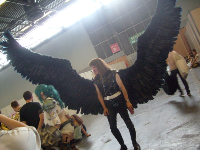 black_wings guy