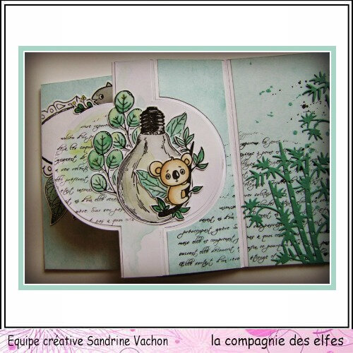 Carte livre ANNIVERSAIRE dt LCDE (6)