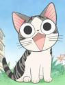 chichi