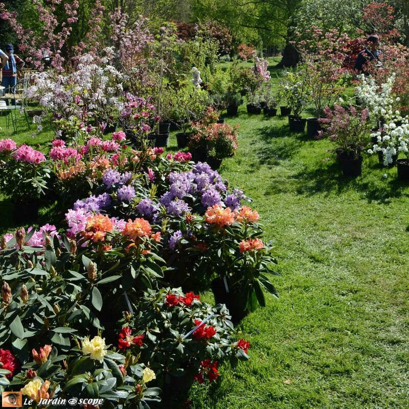 Parc-Floral-16