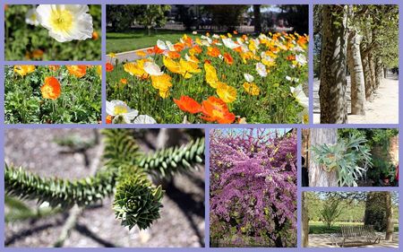 jardin_plantes4