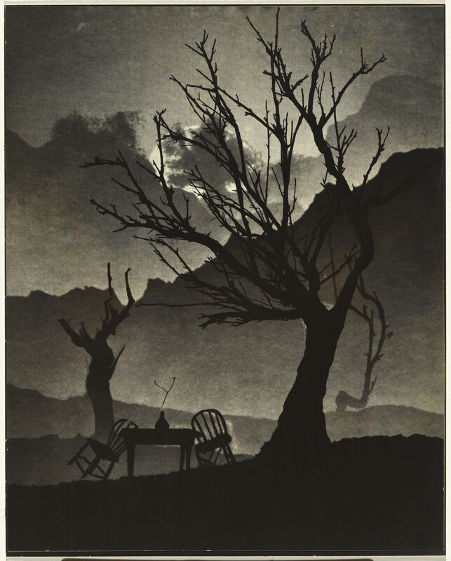 Haffer , Virna Untitled [tree and chair]