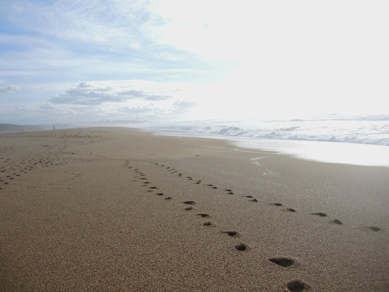 Anglet, plage des Cavaliers, sable, mars 2016 (64)