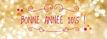 Bonne Année 2015 6