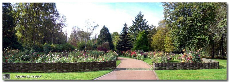 Le tableau de dahlias en automne