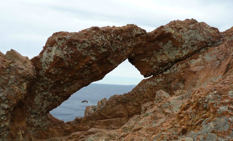 P1090810 (2)