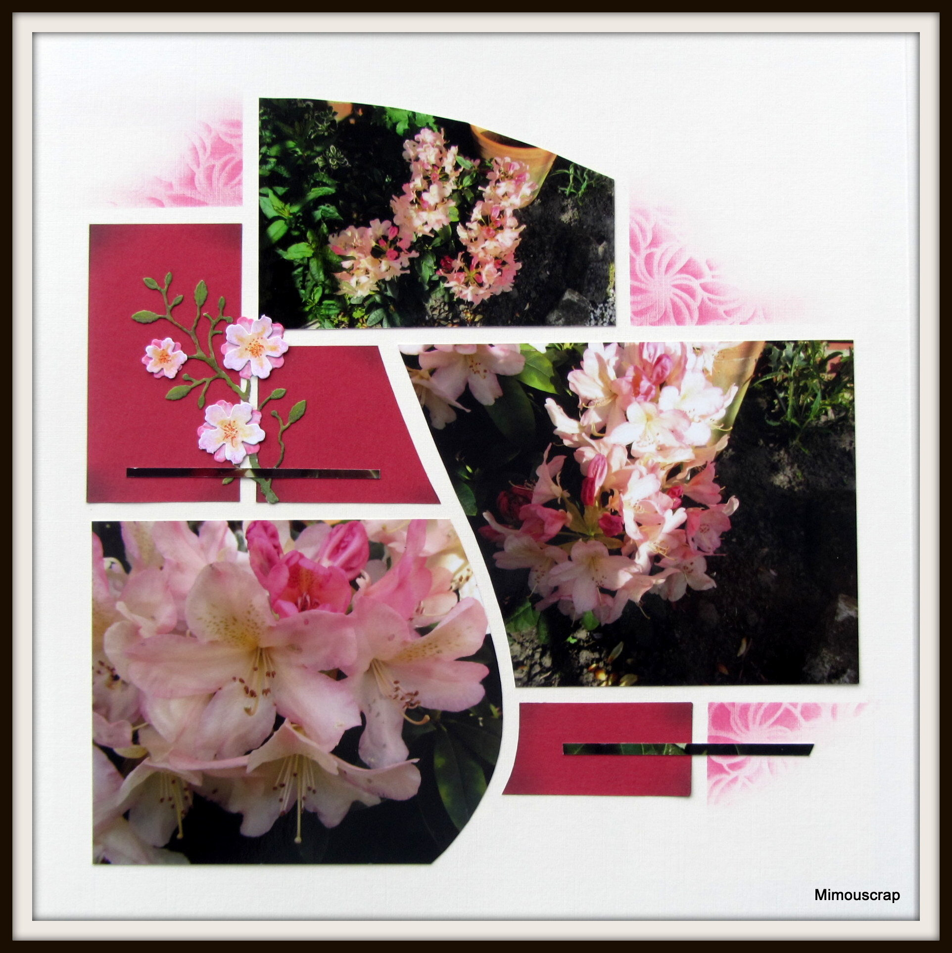 Jardin 2016 026