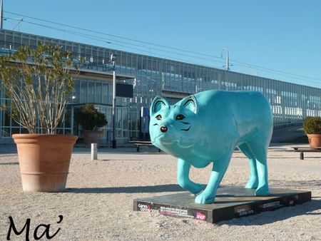 130103_mascotte_rencontres_